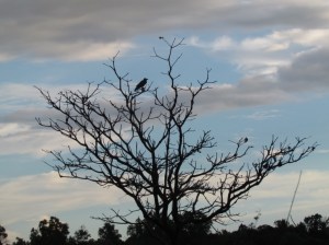 ???????????????????????????????